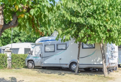 Confort Pitch: car + tent/caravan or camping-car  + electricity +water — 10