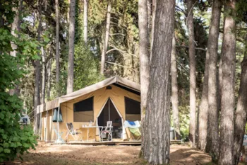 Location - Tente Toile & Bois Sweet - Huttopia Divonne Les Bains