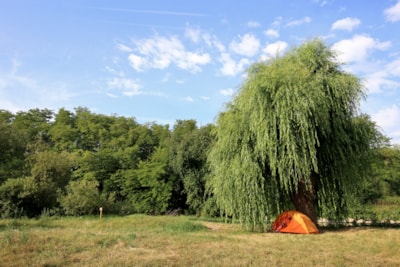 Camping pitch — 3