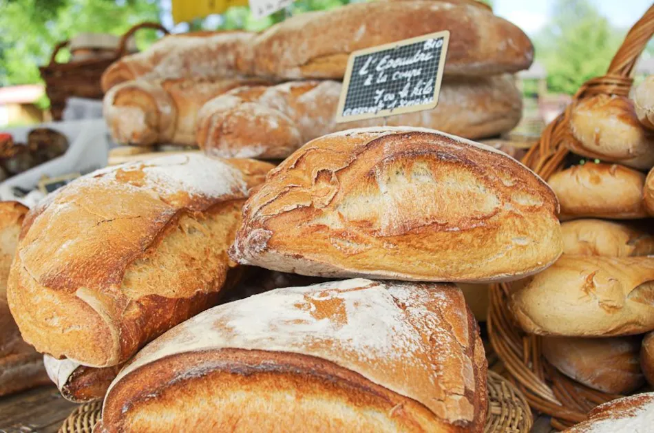 Camping Kanopée Village