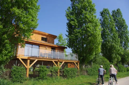 Location - Chalet Perché 2 Chambres + Mezzanine 35M² - image n°1 - Camping Kanopée Village