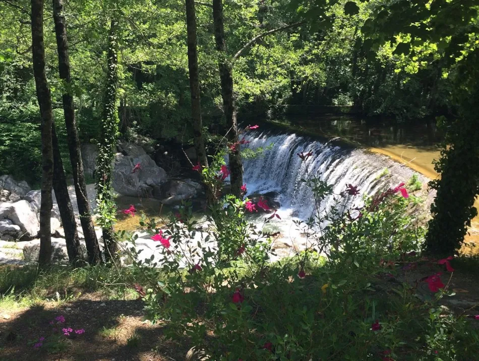 Camping La Salendrinque