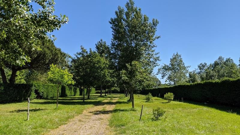 Camping Le Montet d'Oléron — Photo 3