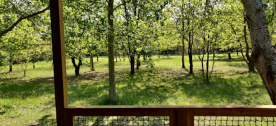 CHALET CANNELLE PREMIUM 2 bedrooms - 26 m2 + terrace — 4