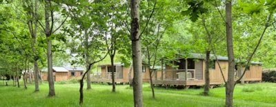 CHALET MIMOSA 2 bedrooms - 32 m2 + terrace — 4