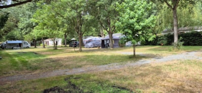 Pitch CONFORT XL from 100 to 150m² with electricity 6A — 2