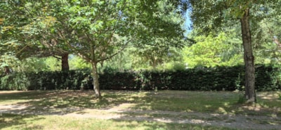 Pitch CONFORT XL from 120 to 150m² with electricity 6A