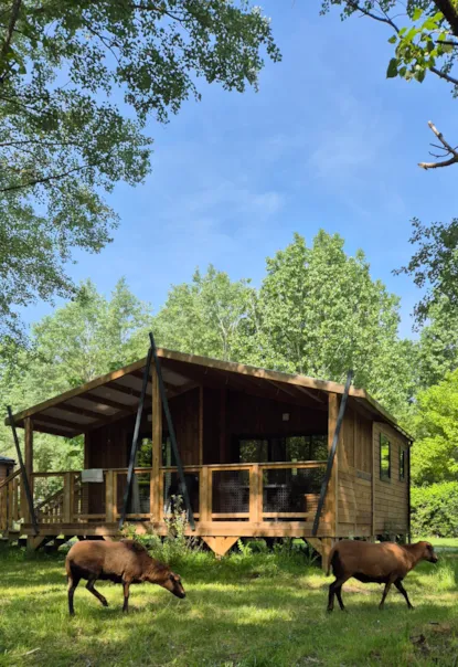 Chalet Mimosa 2 Camere Da Letto - 32 M2 + Terrazza