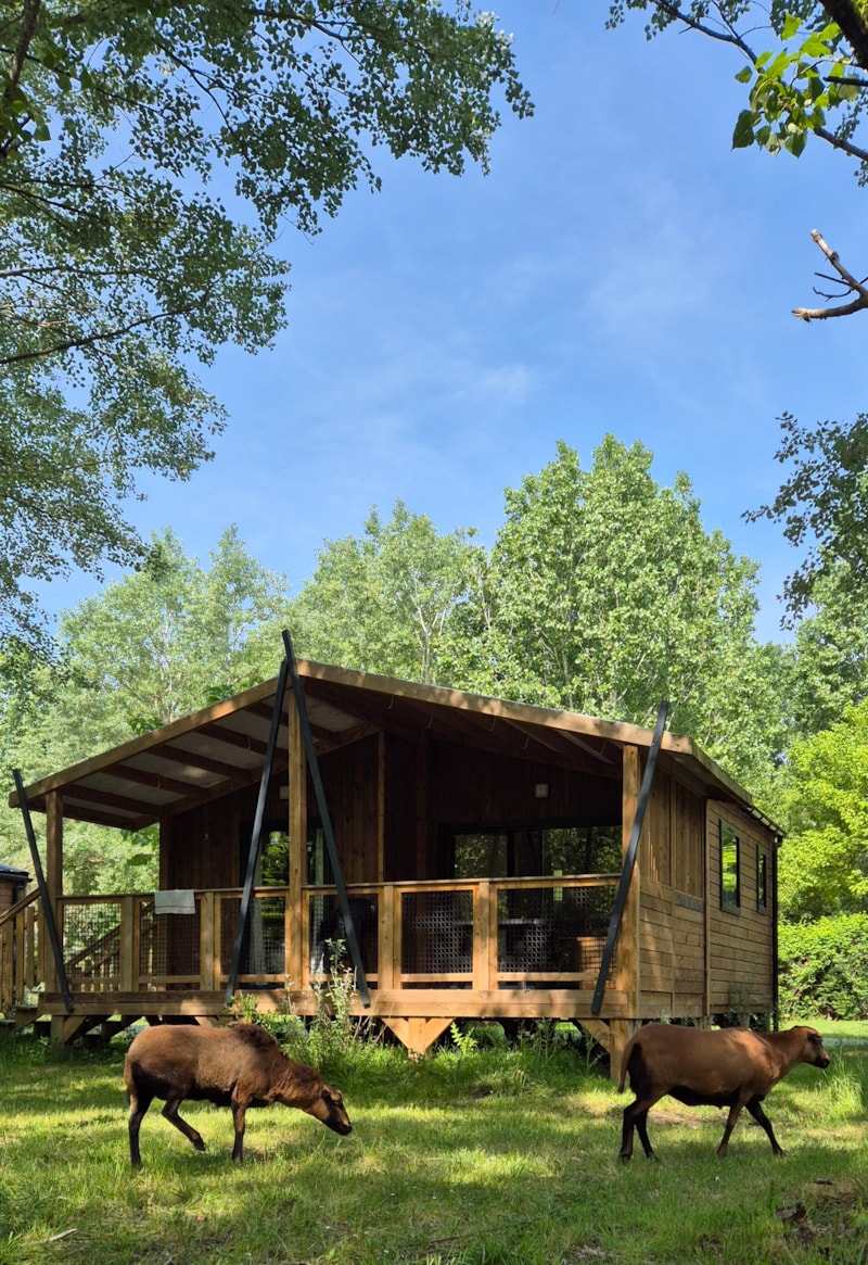 CHALET MIMOSA 2 Zimmer - 32 m2 + Terrasse