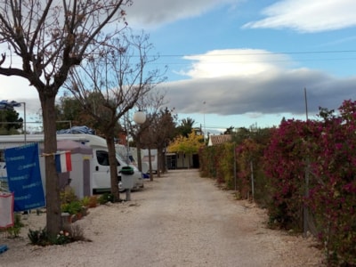 Camping Bon Sol