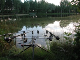 Leisure Activities Campilô - Aubigny-Les Clouzeaux
