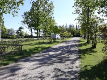 Stellplatz - Stellplatz Privilège (Zelt, Wohnwagen, Wohnmobil / 1 Auto / Strom 16A) Geräumigen Stellplatz - Campilô