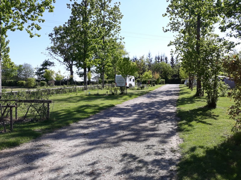 Forfait Privilège (1 tente, caravane ou camping-car / 1 voiture / électricité 16A) grand emplacement