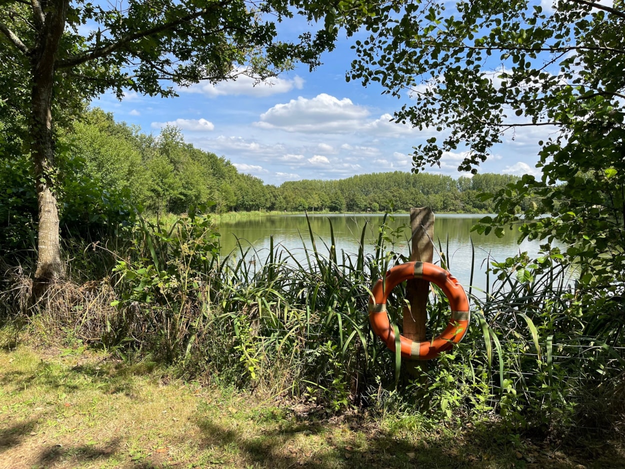 Campilo