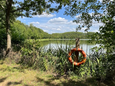 Campilo