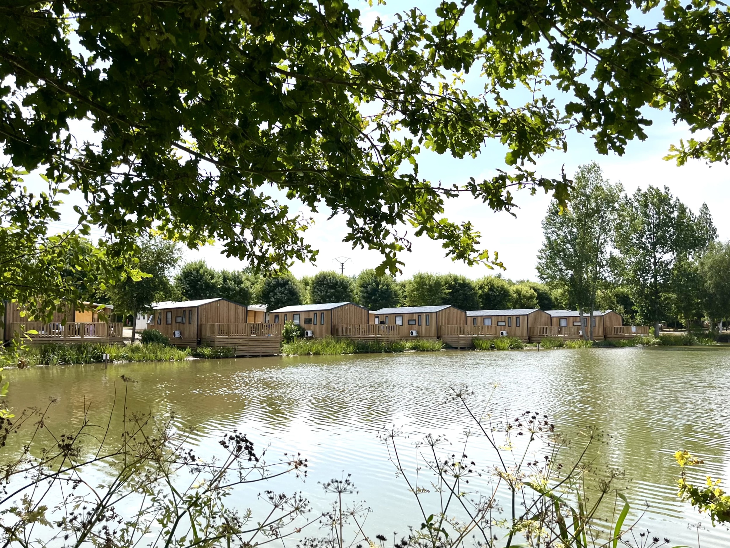 Campilo — Photo 4