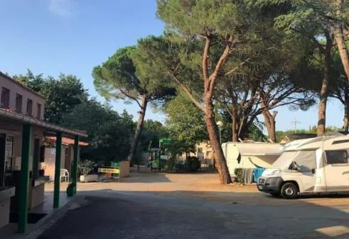 Camping Les Pins Le Congo