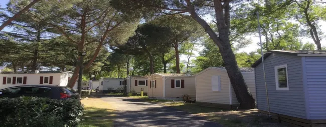 Camping Les Pins Le Congo - image n°4 - Camping Direct