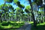 Camping La Principina Camping La Principina