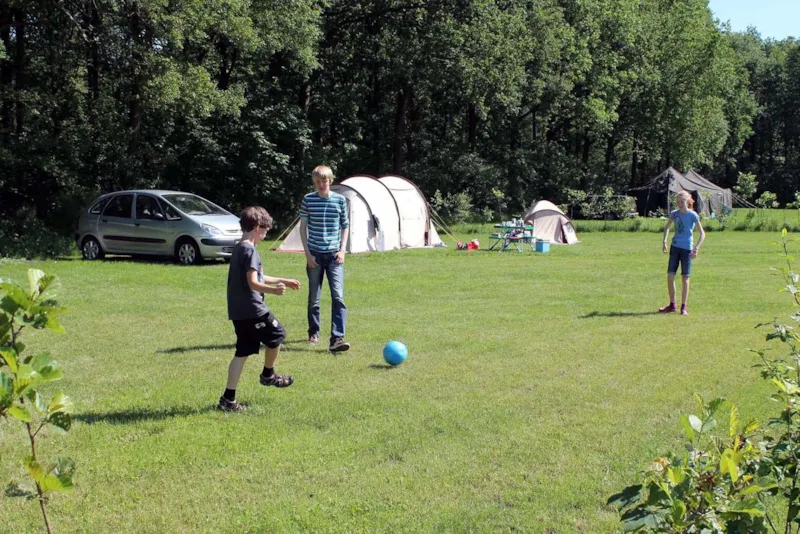 Emplacement Comfort: Voiture + Tente/Caravane Ou Camping-Car + Électricité 8A (<=4 Khw)