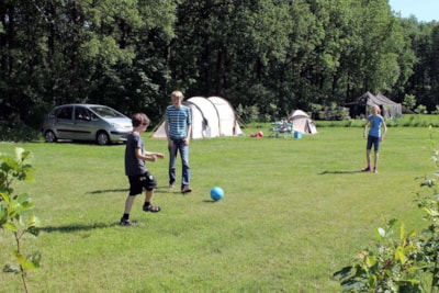 Basic Pitch : car + tent/caravan or camping-car + electricity 6A (<=4 kHw)