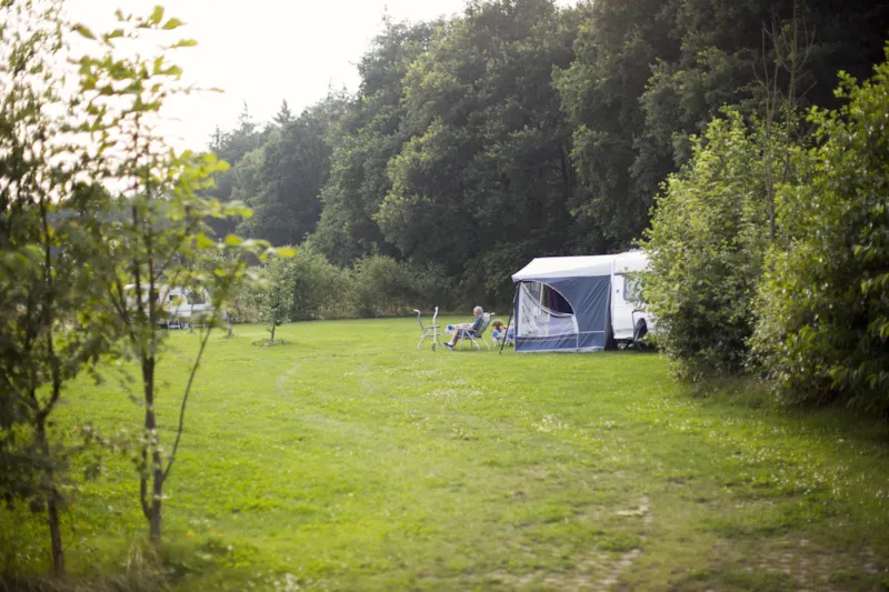 Emplacement Comfort: Voiture + Tente/Caravane Ou Camping-Car + Électricité 8A (<=4 Khw)