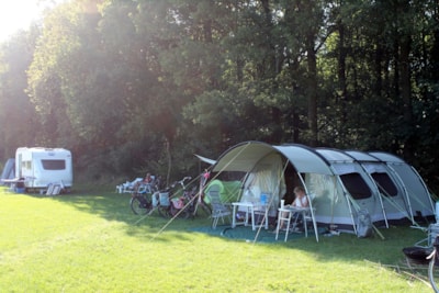 Basic Pitch : car + tent/caravan or camping-car + electricity 6A (<=4 kHw)