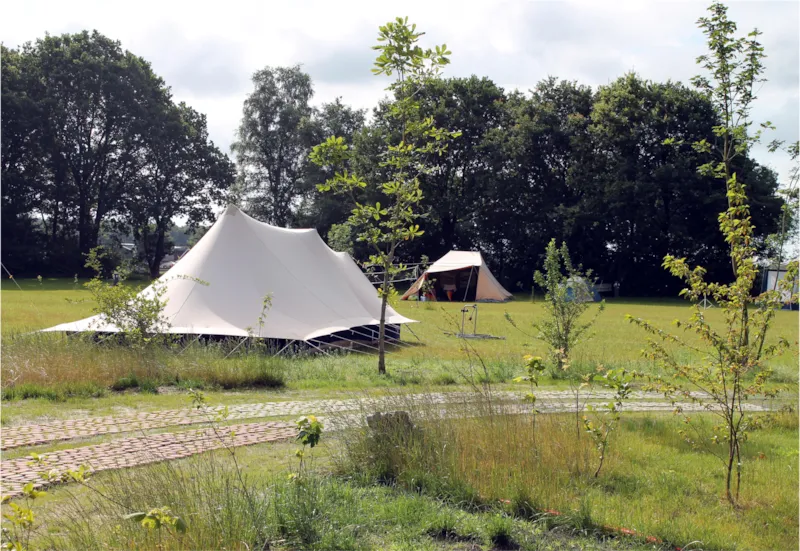 Emplacement Comfort: Voiture + Tente/Caravane Ou Camping-Car + Électricité 8A (<=4 Khw)