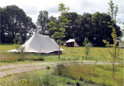 Basic Pitch : car + tent/caravan or camping-car + electricity 6A (<=4 kHw)