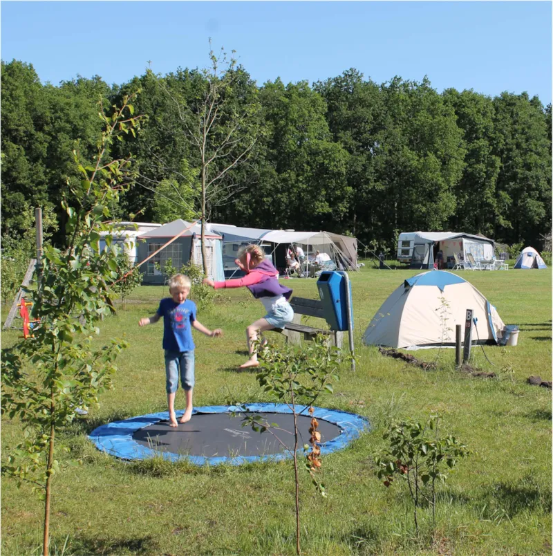 Emplacement Comfort: Voiture + Tente/Caravane Ou Camping-Car + Électricité 8A (<=4 Khw)