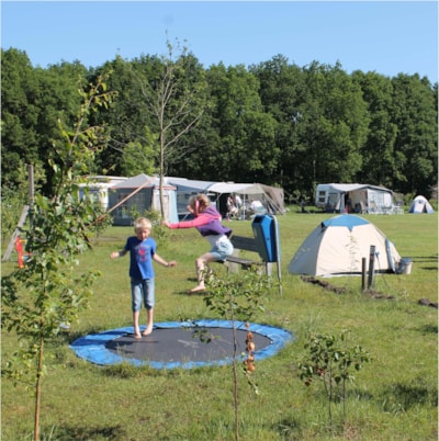 Basic Pitch : car + tent/caravan or camping-car + electricity 6A (<=4 kHw)
