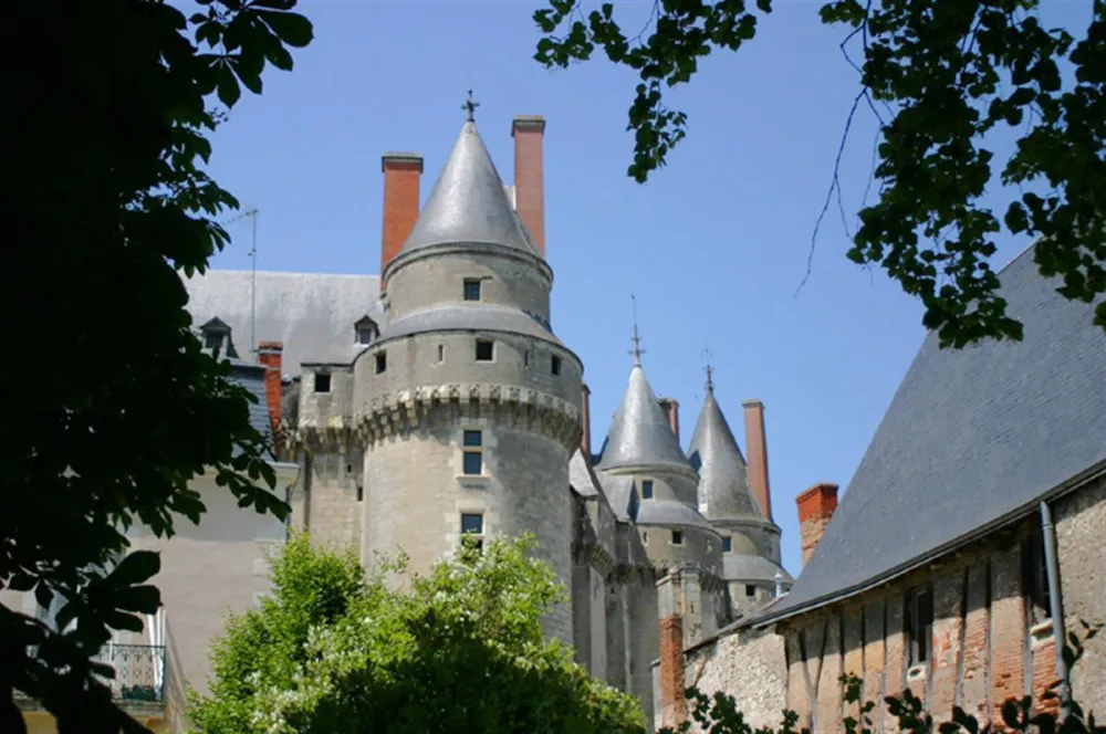 Flower Camping Loire et Châteaux - image n°51 - UniversalBooking