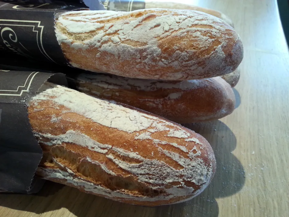 Flower Camping Loire et Châteaux