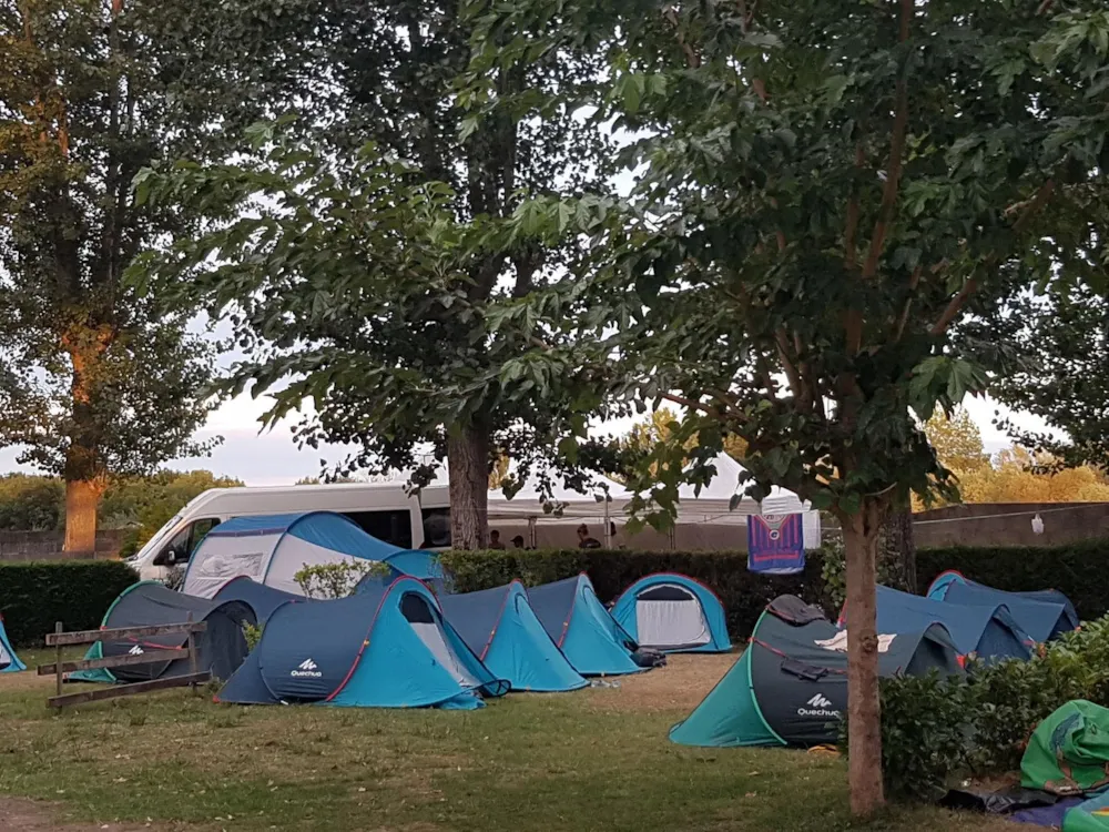 Stellplatz - Stellplatz Pauschale Wanderer Oder Radfahrer Mit Zelt + Strom 16A (Zusätzliche Person Nicht Zutreffend) - Flower Camping Le Pré des Sables