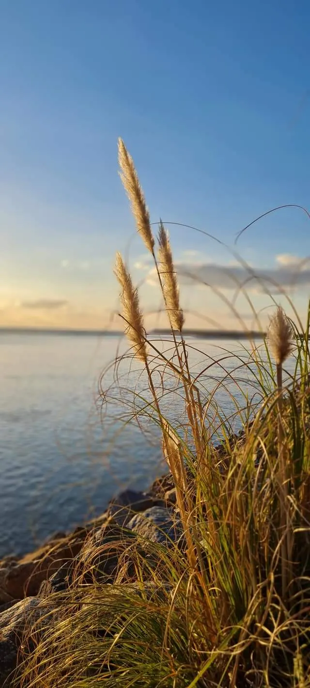Flower Camping Le Pré des Sables