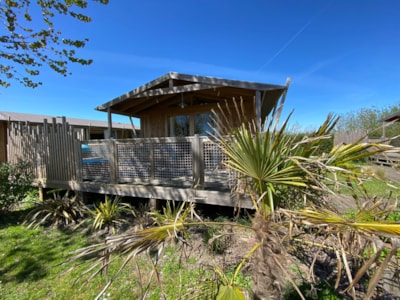 Cabane lodge Sweet Flower Confort + 32m² 2 bedrooms