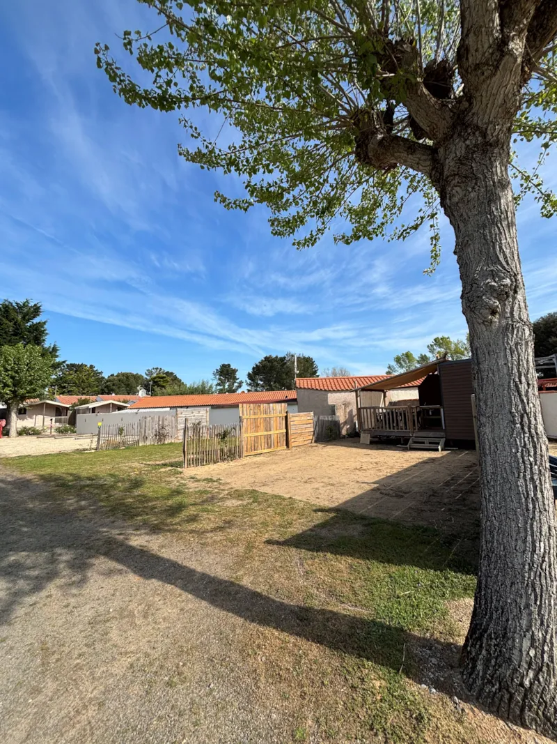 Emplacement Prémium : Emplacement Confort Avec Sanitaire, Coin Suisine Et Terrasse Couverte Privatif