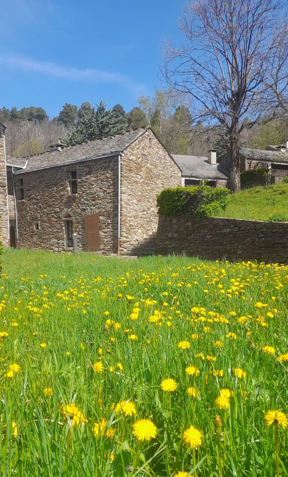 Village de gîtes et de vacances*** Les Hauts de Saint Privat - image n°7 - UniversalBooking