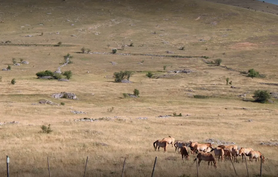 Village de gîtes et de vacances*** Les Hauts de Saint Privat - image n°39 - UniversalBooking