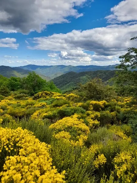 Village de gîtes et de vacances*** Les Hauts de Saint Privat - image n°41 - UniversalBooking