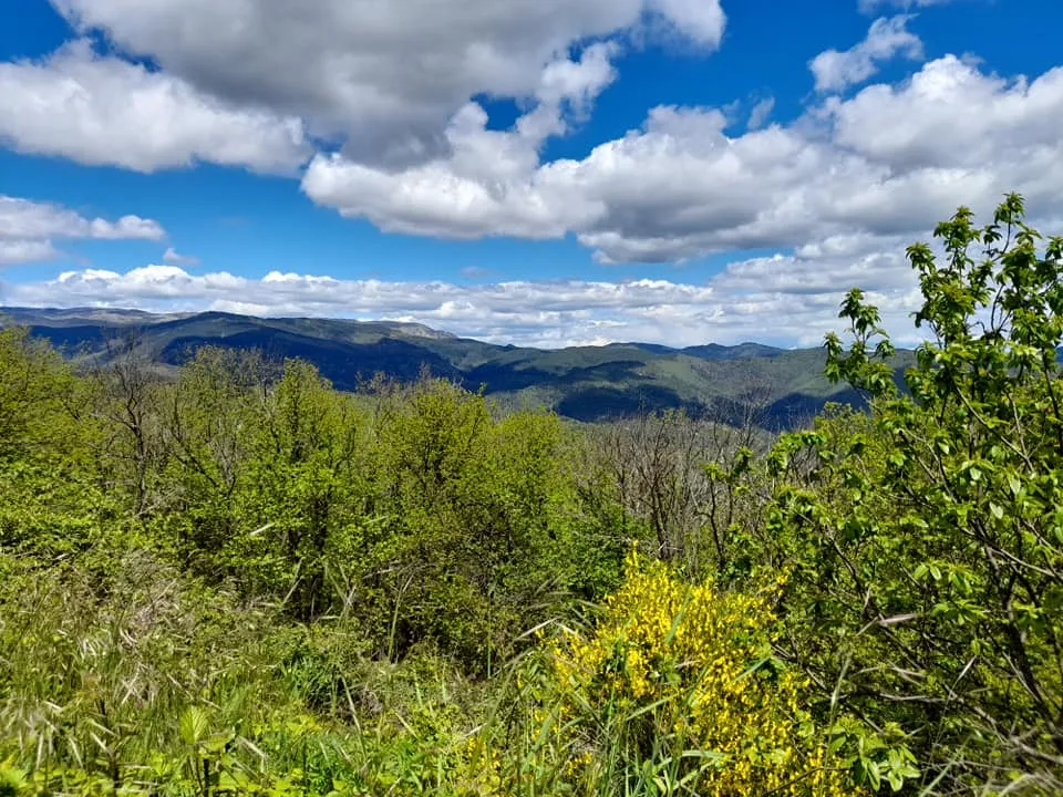 Village de gîtes et de vacances*** Les Hauts de Saint Privat - image n°40 - UniversalBooking