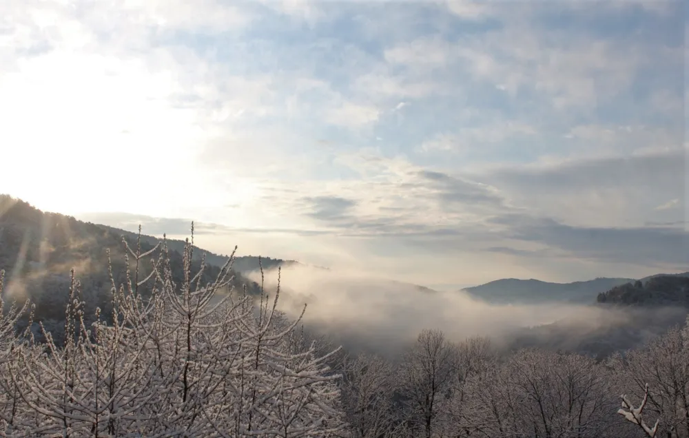 Village de gîtes et de vacances*** Les Hauts de Saint Privat - image n°44 - UniversalBooking