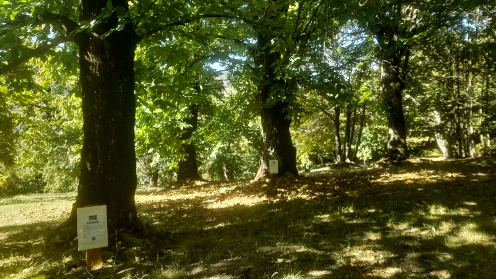 Village de gîtes et de vacances*** Les Hauts de Saint Privat - image n°51 - UniversalBooking