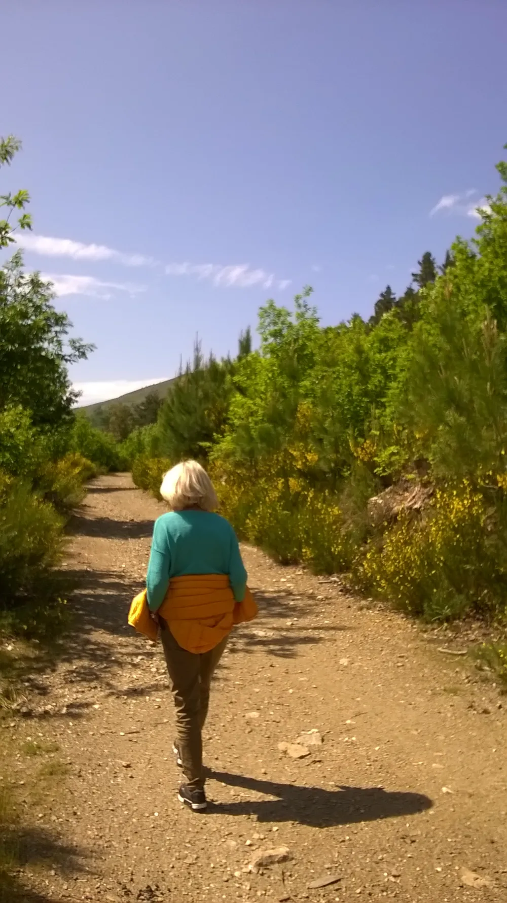 Village de gîtes et de vacances*** Les Hauts de Saint Privat - image n°52 - UniversalBooking