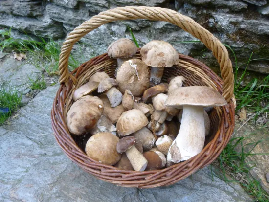 Village de gîtes et de vacances*** Les Hauts de Saint Privat - image n°31 - UniversalBooking