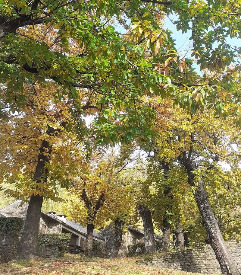 Village de gîtes et de vacances*** Les Hauts de Saint Privat - image n°30 - UniversalBooking