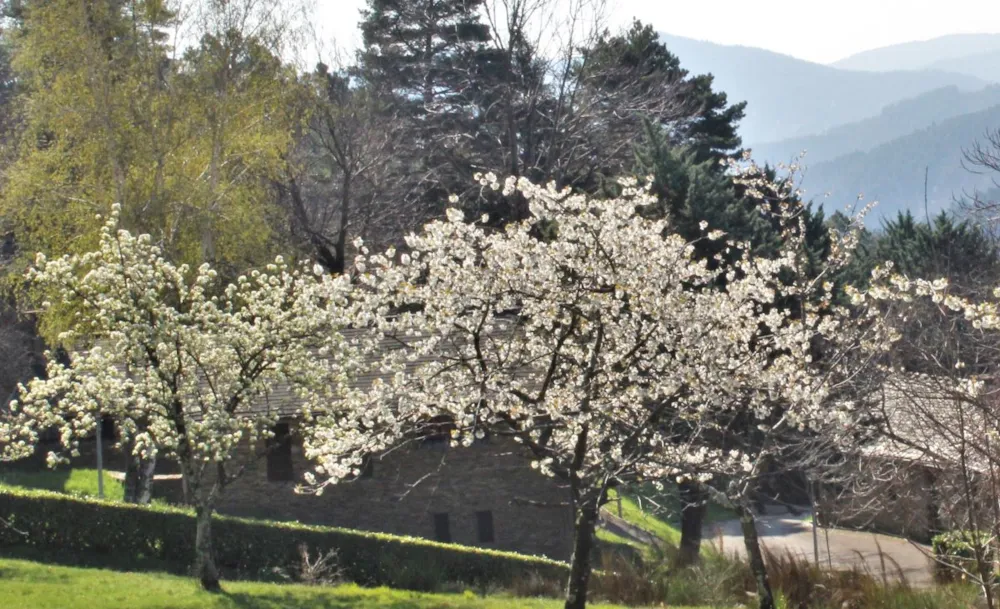 Village de gîtes et de vacances*** Les Hauts de Saint Privat - image n°8 - UniversalBooking