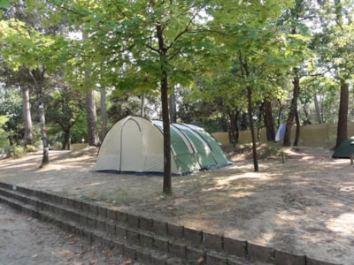Package pitch + 1 vehicle + tent — 2