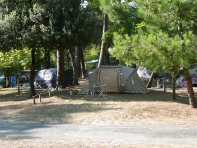 Package pitch + 1 vehicle + tent — 3