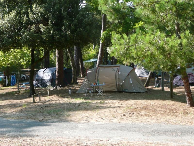 Ideal Camping photo 2